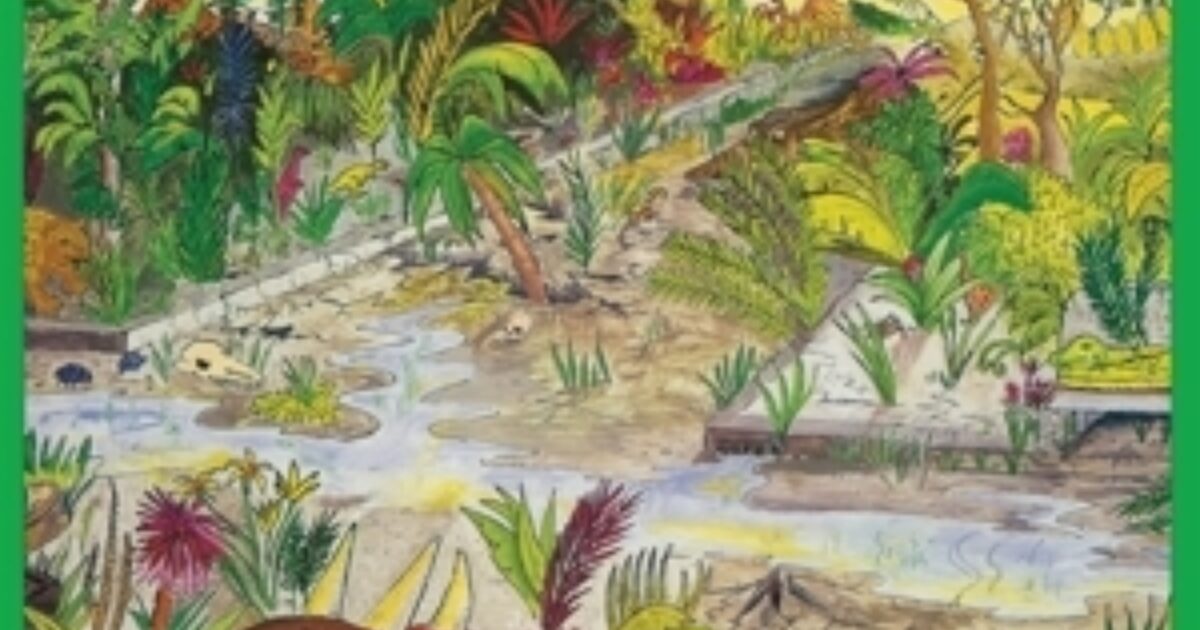 Wipers Land Of The Lost Coloured Sounds Recordstore Venlo