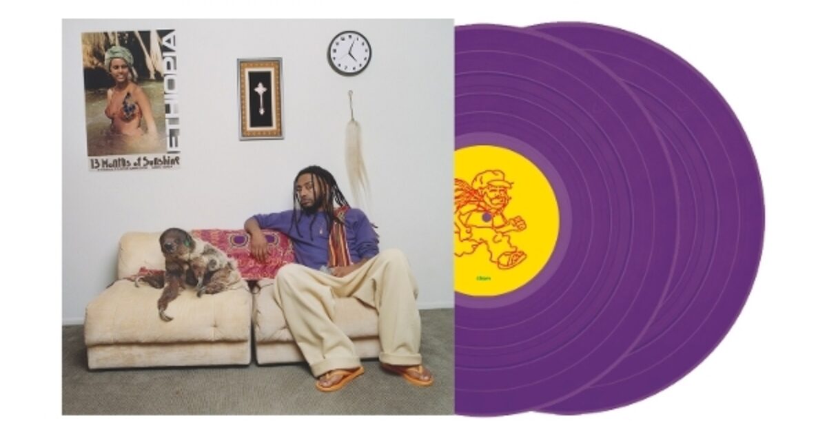 Amine 13 Months Of Sunshine LP 未開封 AMINE AMINÉ 13 Months of Sunshine SIGNED GREEN VINYL SEALED