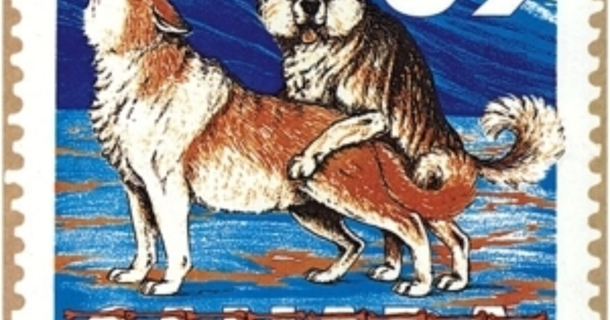 Dayglo Abortions - Two Dogs Fucking | Sounds Recordstore Venlo